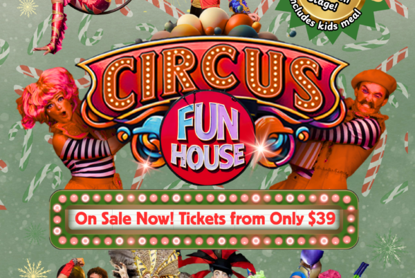 Circus Fun House – The Show